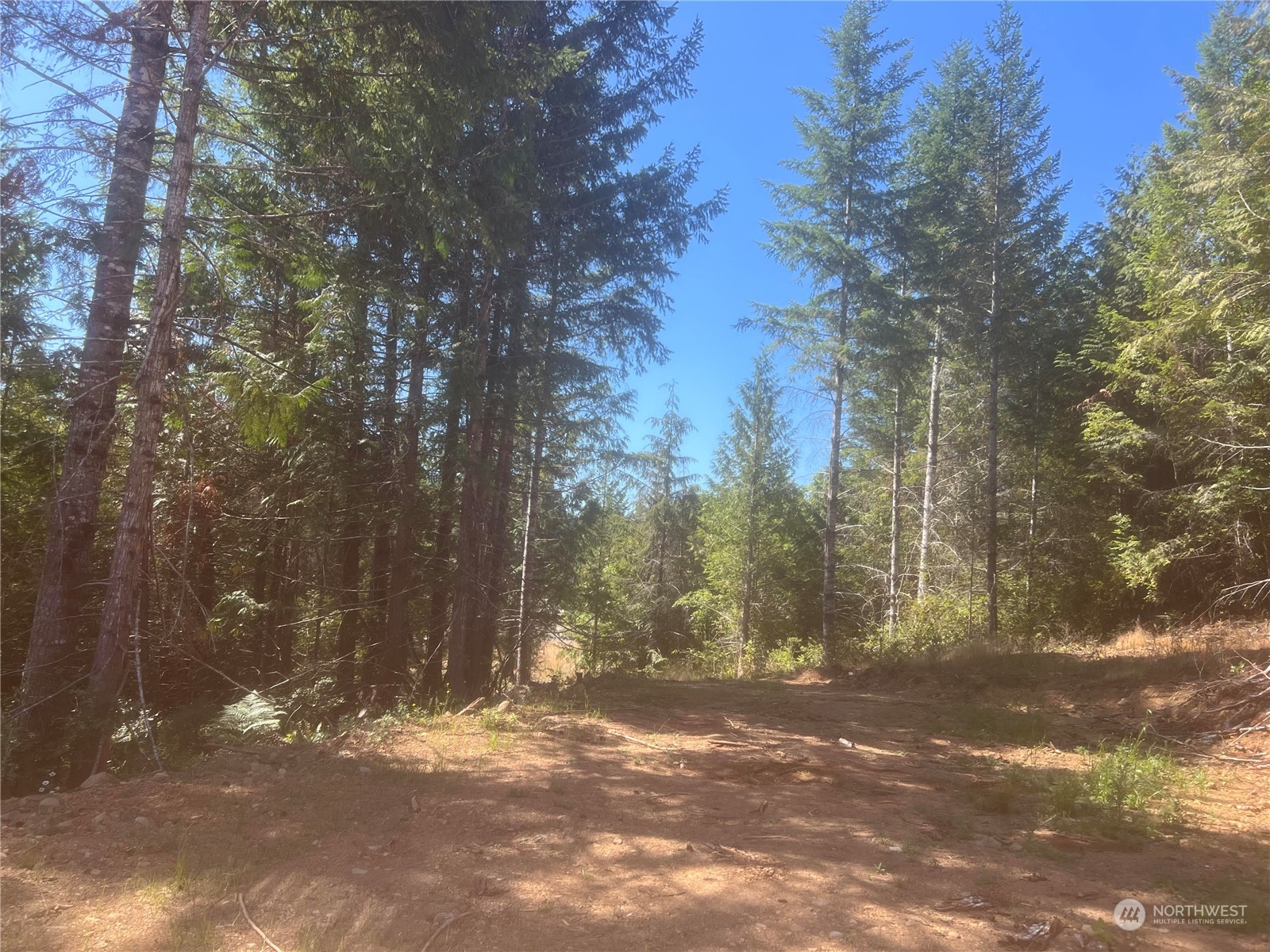 1-xxxx Mt Jupiter Road Brinnon, WA 98320 - Photo 12 of 19
