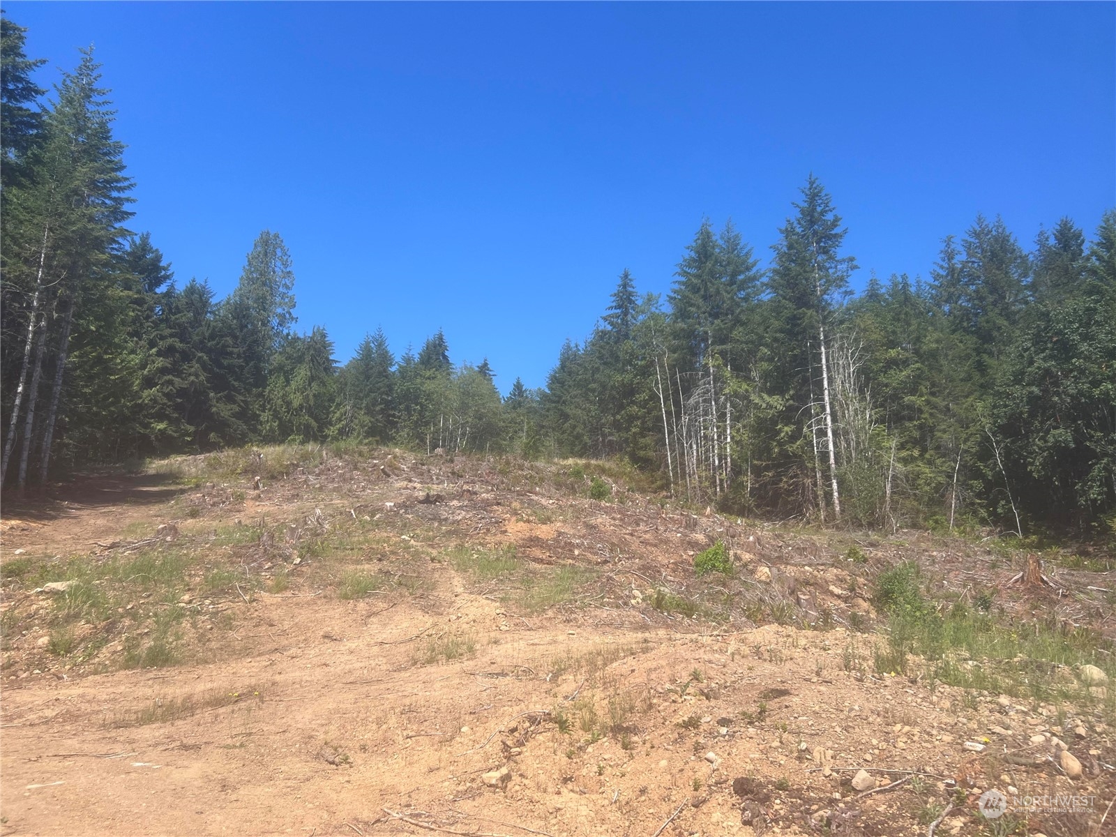 1-xxxx Mt Jupiter Road Brinnon, WA 98320 - Photo 13 of 19