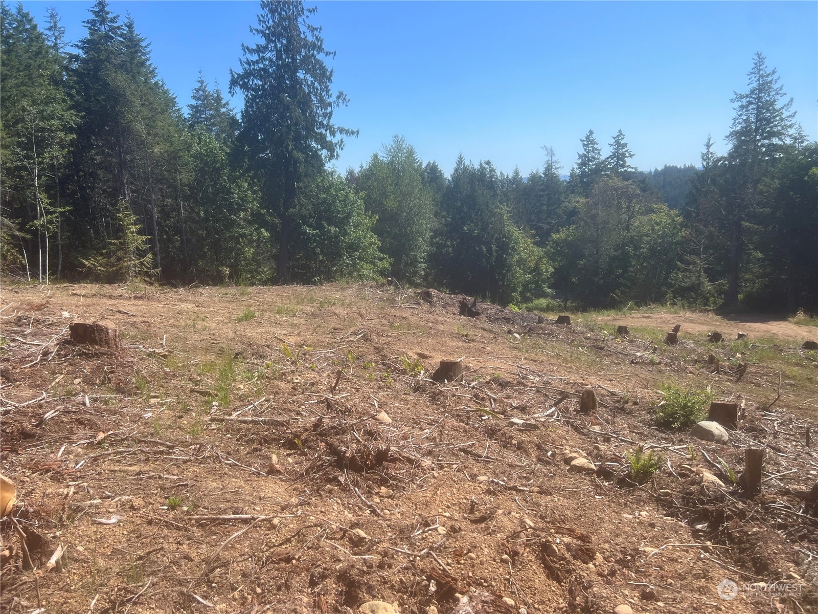 1-xxxx Mt Jupiter Road Brinnon, WA 98320 - Photo 14 of 19