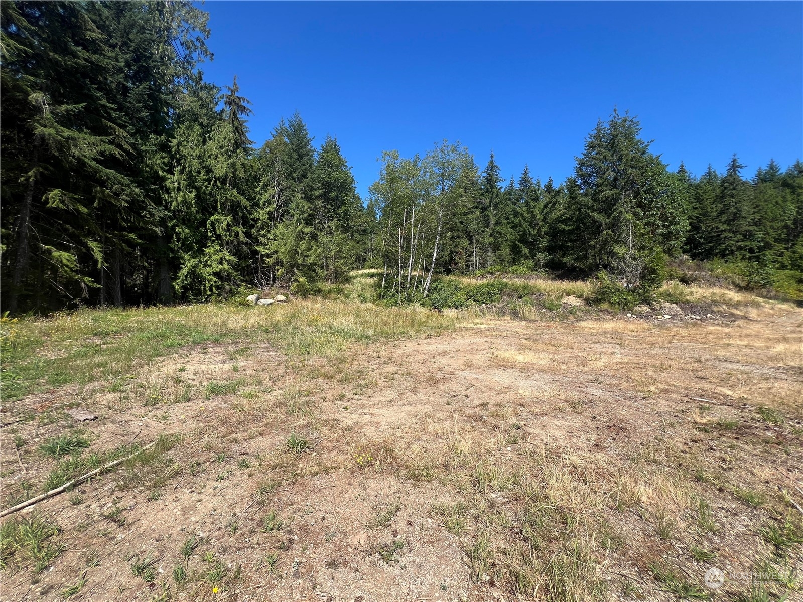 1-xxxx Mt Jupiter Road Brinnon, WA 98320 - Photo 15 of 19