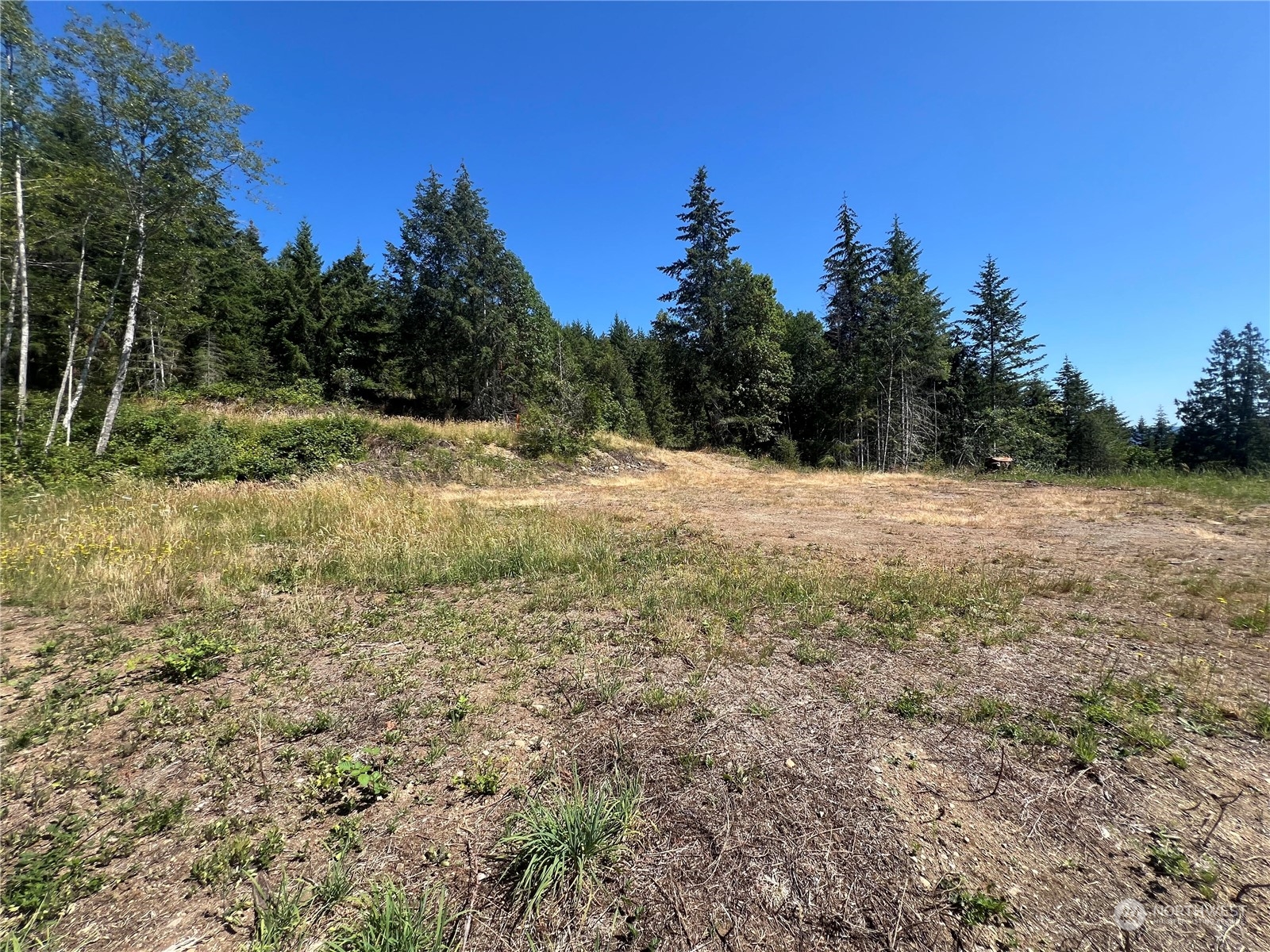 1-xxxx Mt Jupiter Road Brinnon, WA 98320 - Photo 17 of 19
