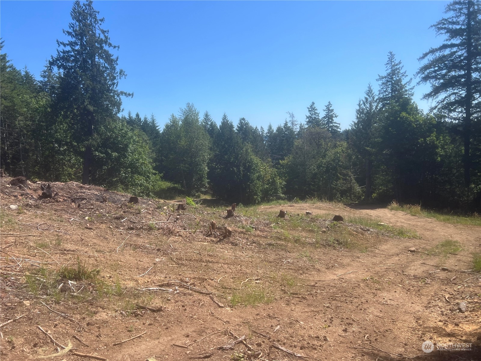 1-xxxx Mt Jupiter Road Brinnon, WA 98320 - Photo 19 of 19
