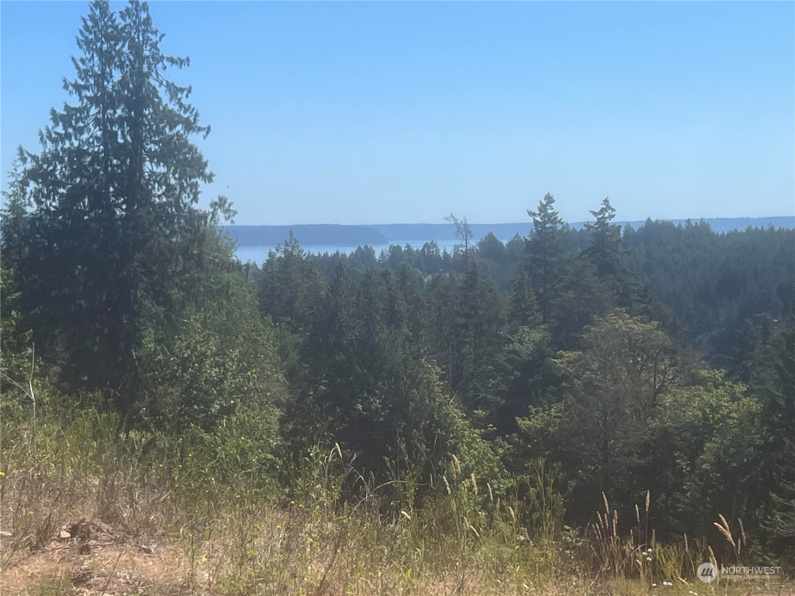 1-xxxx Mt Jupiter Road Brinnon, WA 98320 - Photo 5 of 19