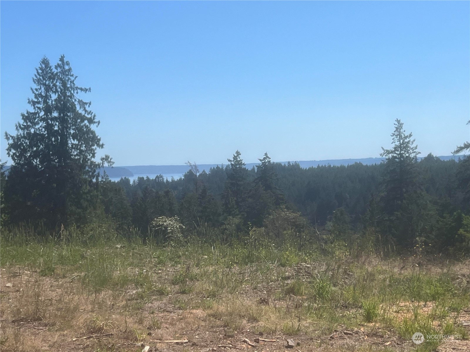 1-xxxx Mt Jupiter Road Brinnon, WA 98320 - Photo 6 of 19