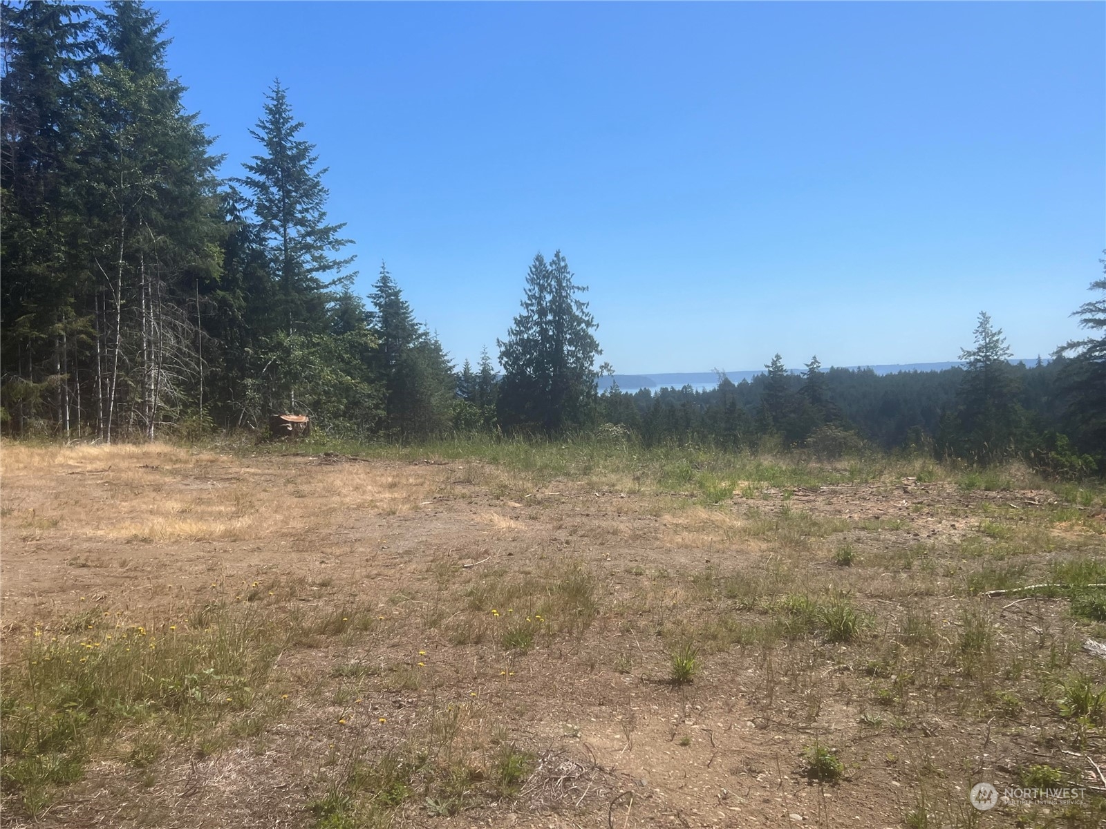 1-xxxx Mt Jupiter Road Brinnon, WA 98320 - Photo 7 of 19
