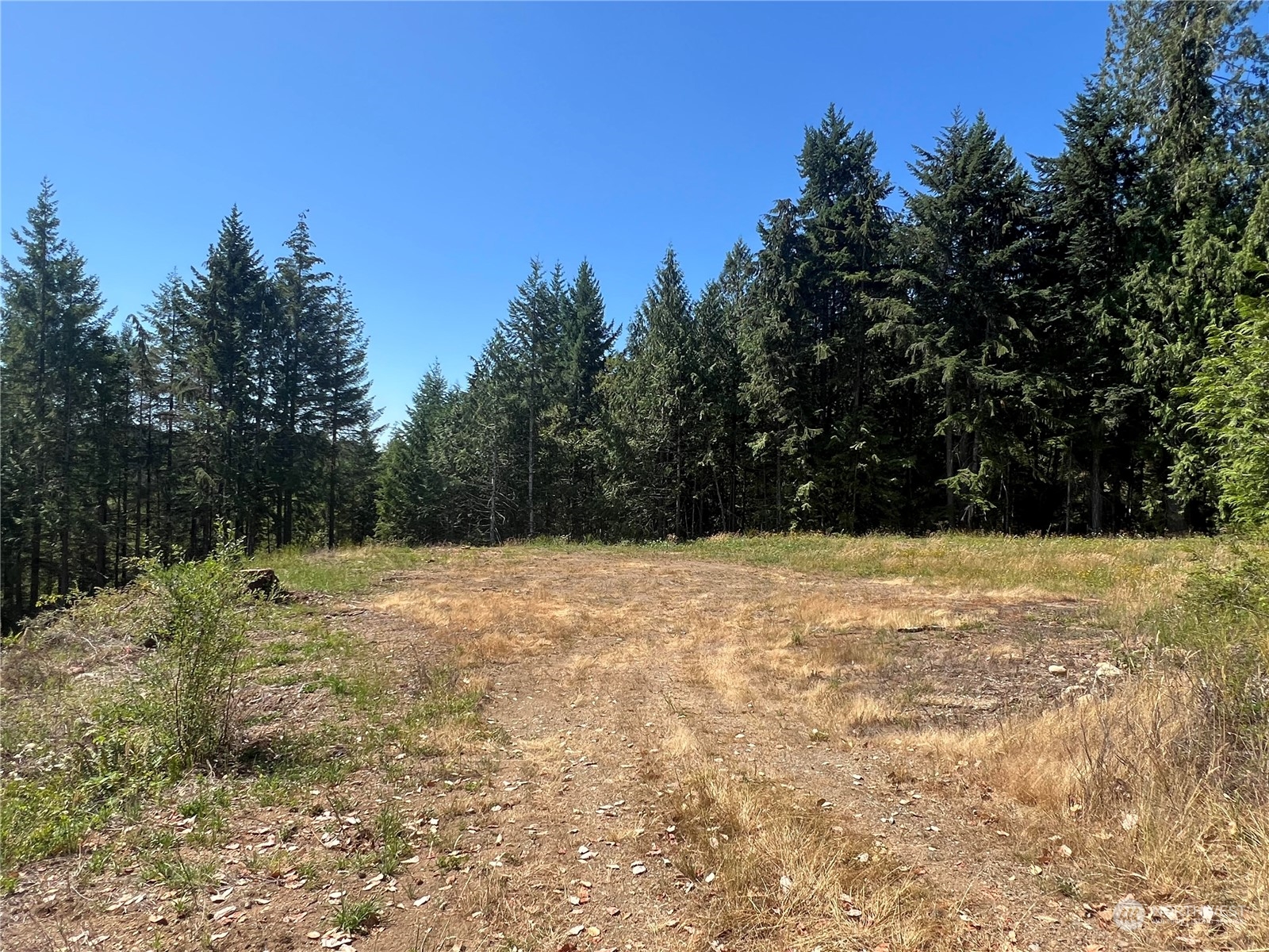 1-xxxx Mt Jupiter Road Brinnon, WA 98320 - Photo 8 of 19