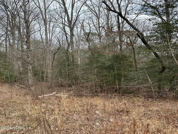 $55,000 | Lot 2 Highway 15, Allenwood, PA 17810