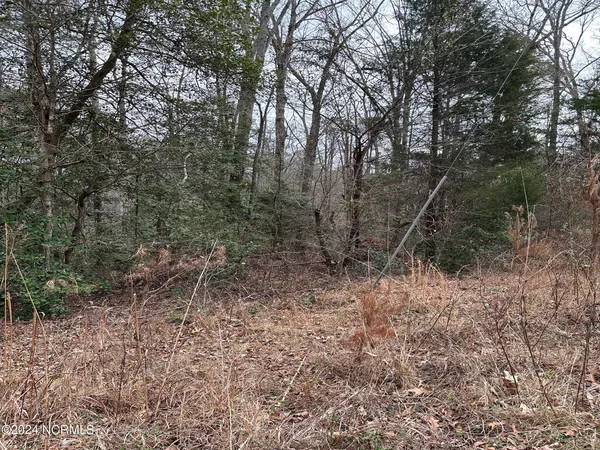 $55,000 | Lot 2 Highway 15, Allenwood, PA 17810