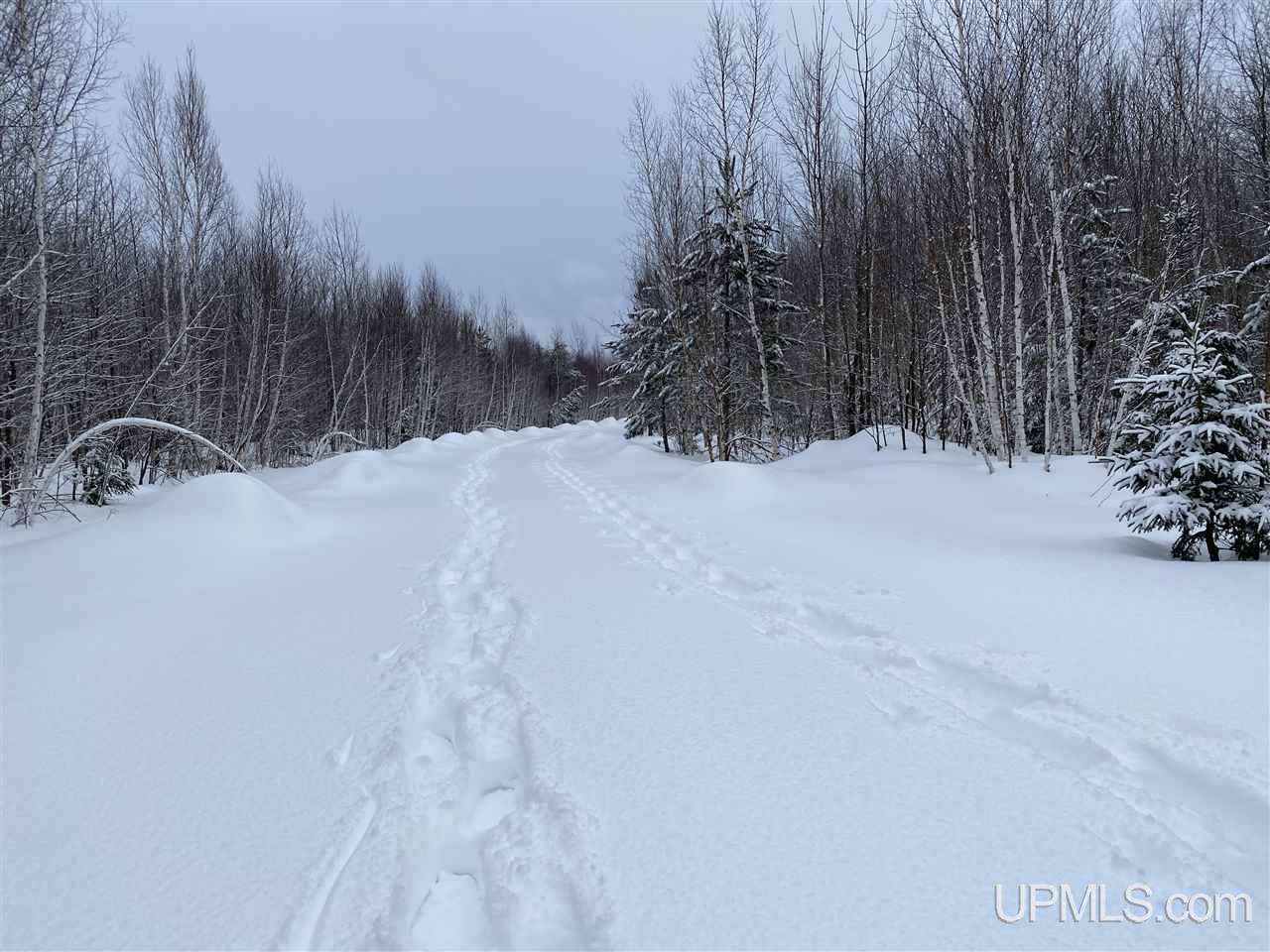 14359 Clement Road Saxon, WI 54559 - Photo 31 of 32