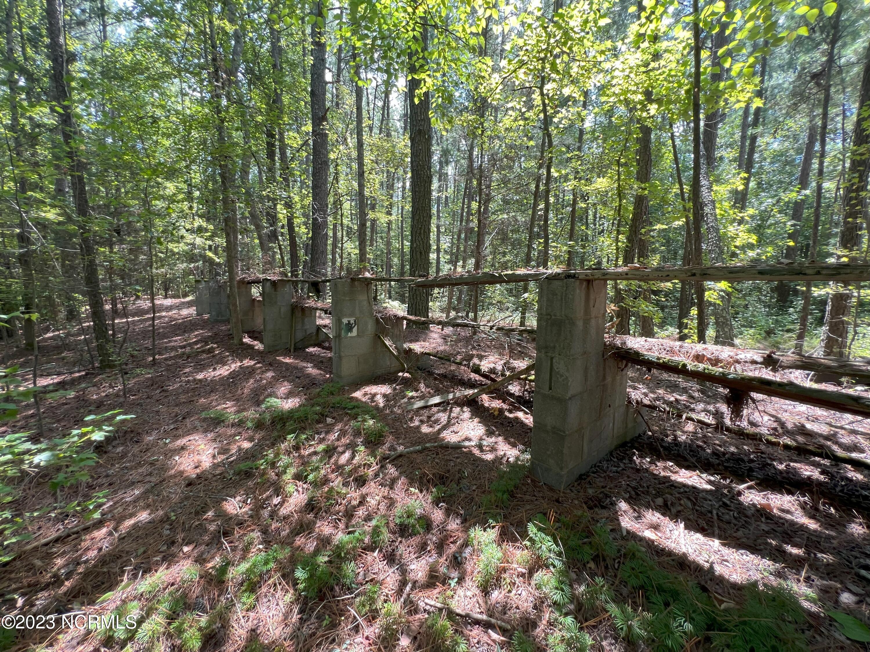 6404 Mitchell Mill Road Zebulon, NC 27597 - Photo 15 of 22 IMG_3499