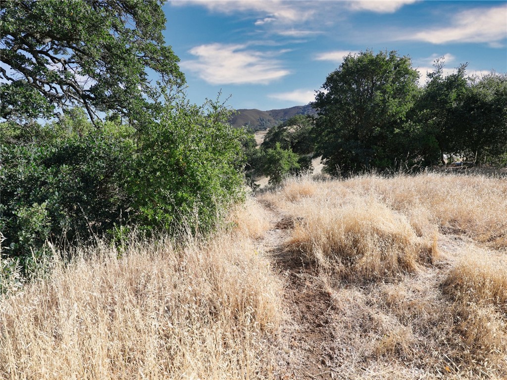 2405 Grant Street Nice, CA 95464 - Photo 3 of 5