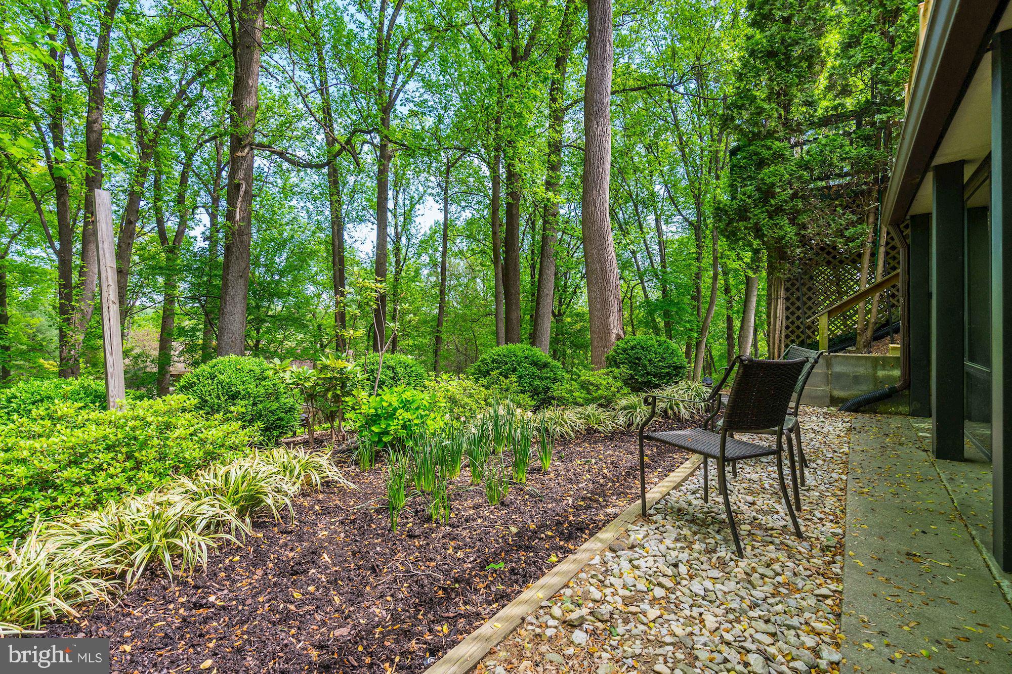1312 Skipwith Road McLean, VA 22101 - Photo 40 of 47 Garden Area
