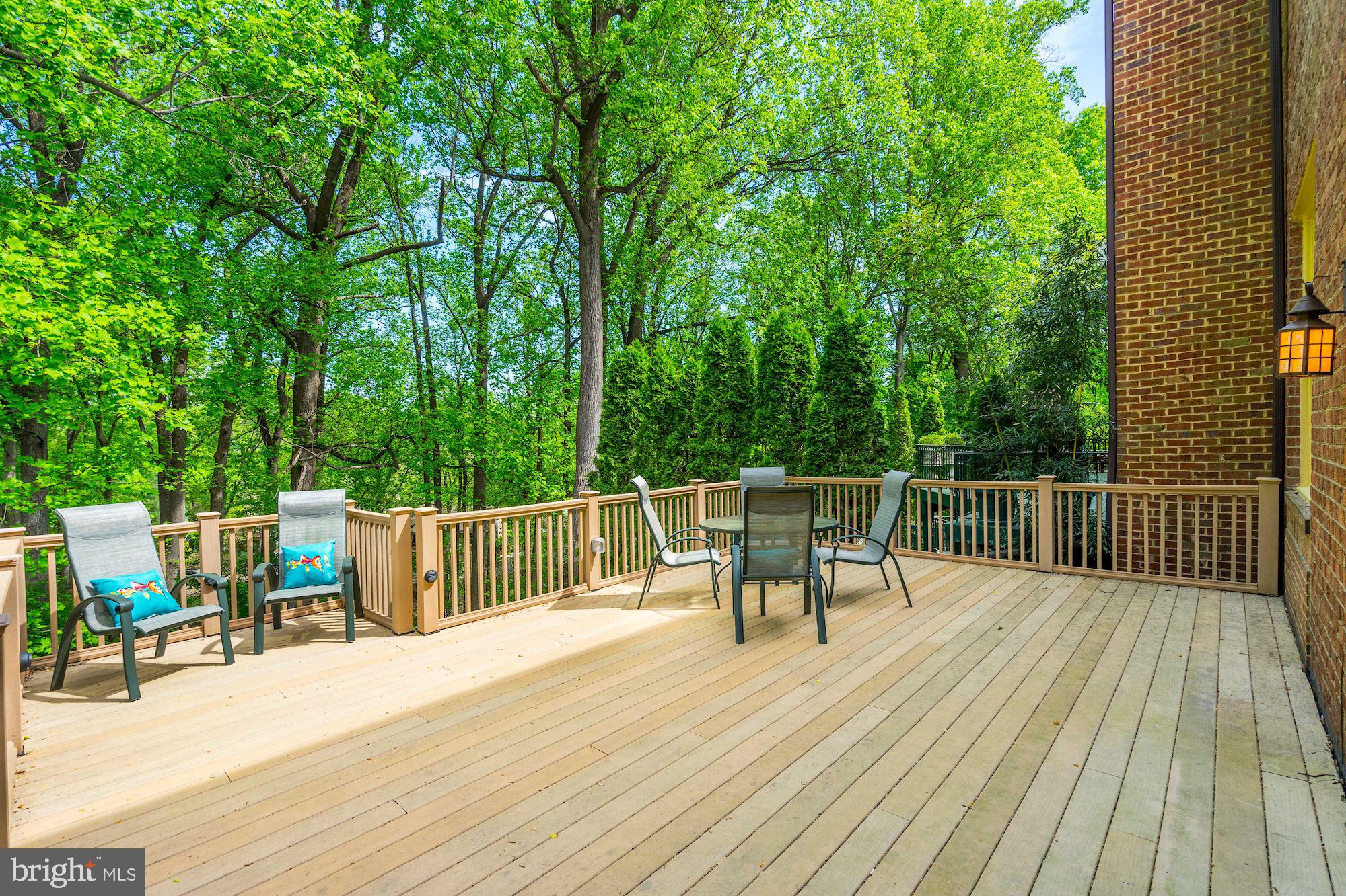 1312 Skipwith Road McLean, VA 22101 - Photo 44 of 47 Main Level Deck