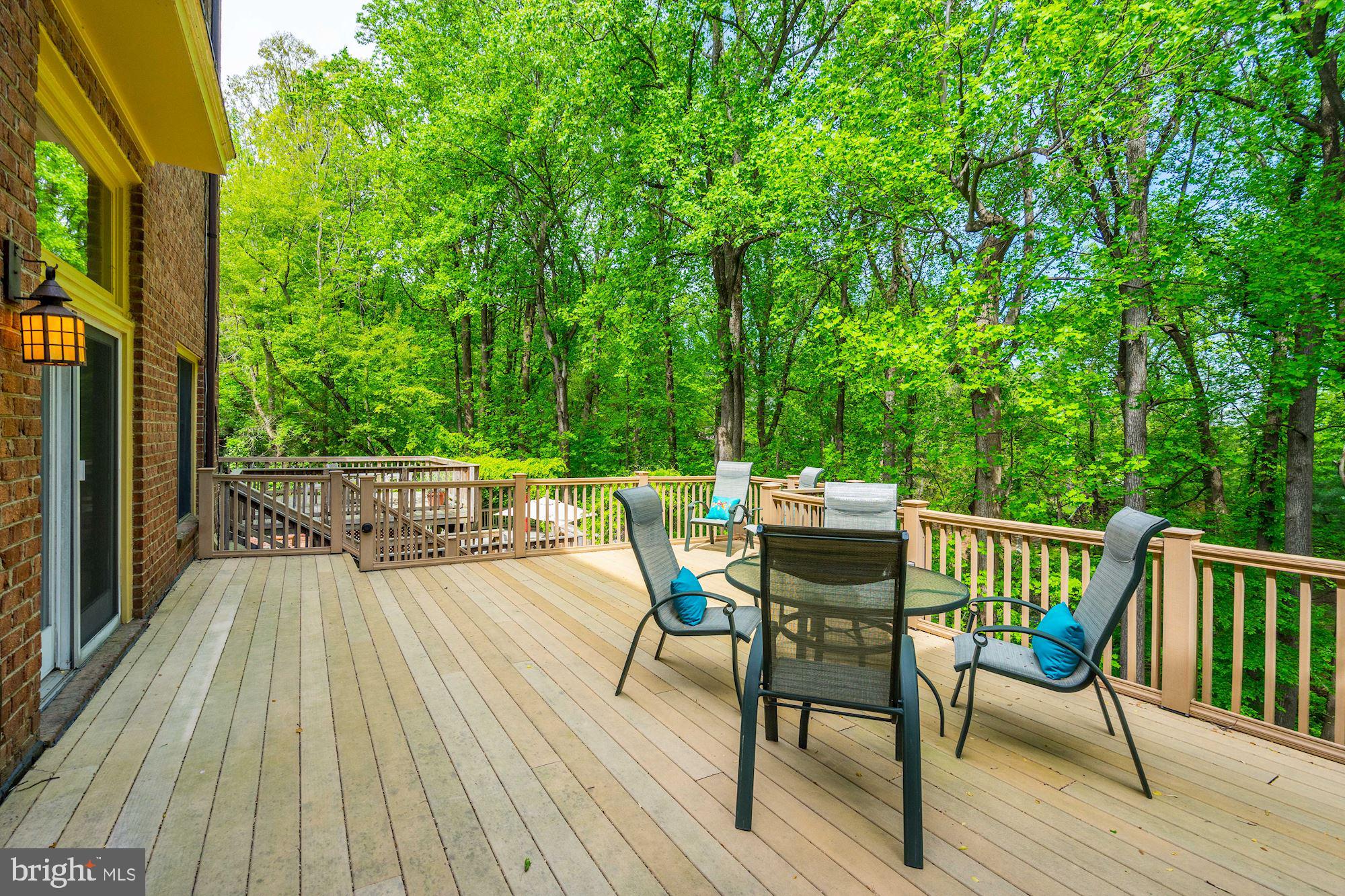1312 Skipwith Road McLean, VA 22101 - Photo 7 of 47 Main Level Deck