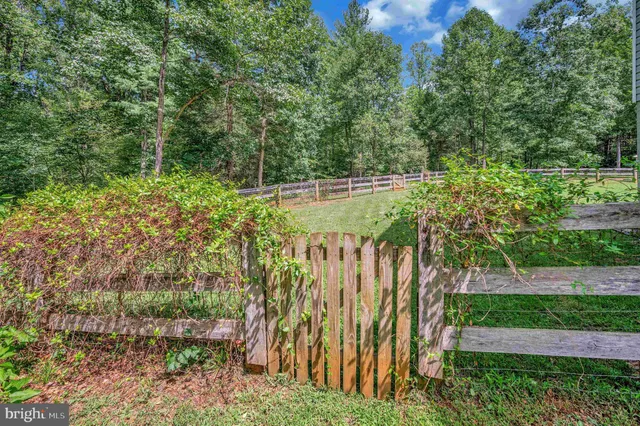 a view of a yard with plants