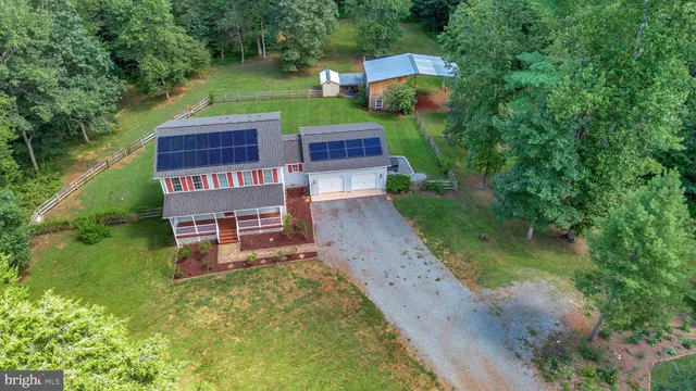 a view of a forest with a street