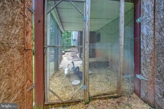 a view of a yard with flower plants