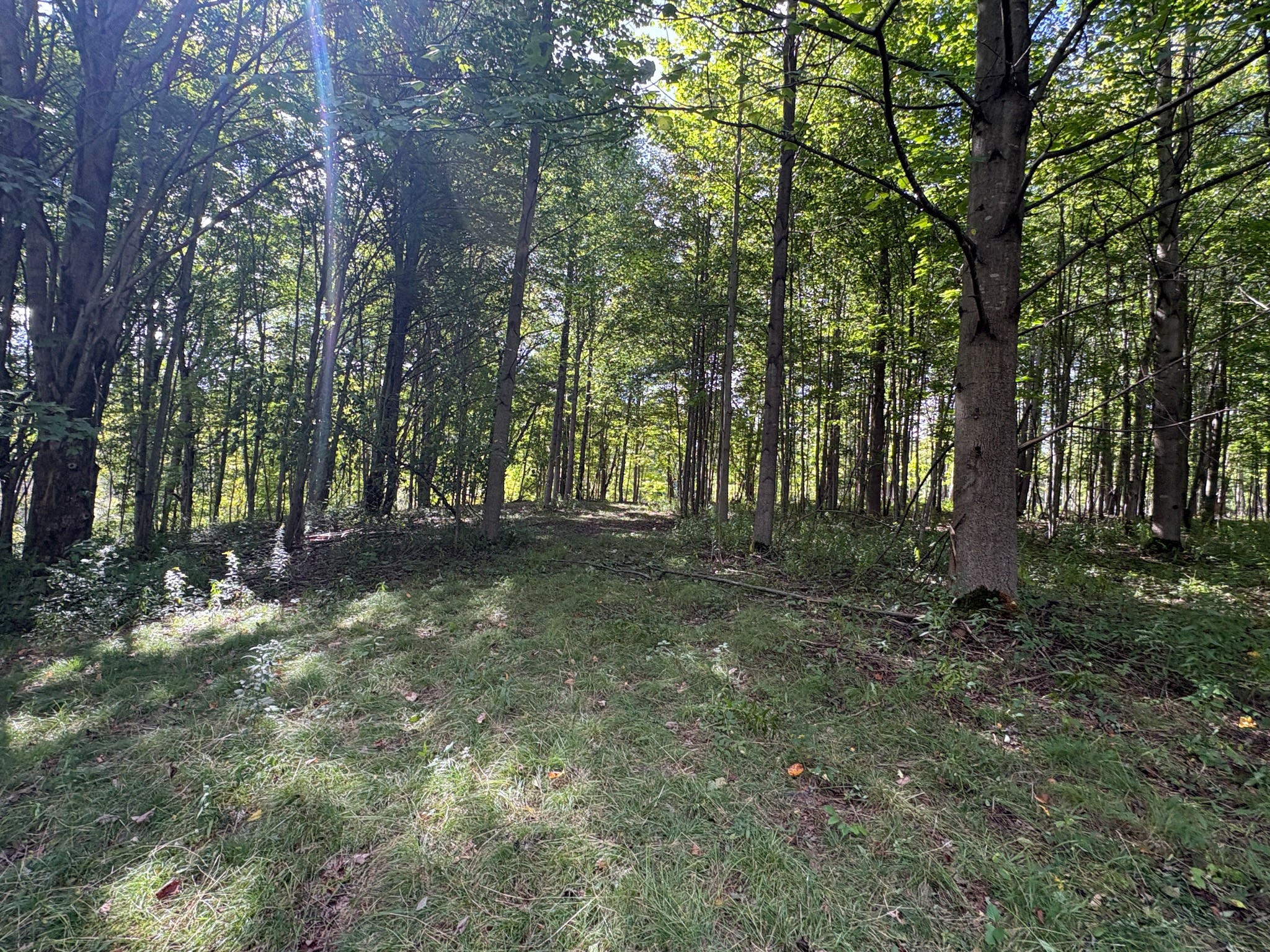 Scribner Road Pierpont, OH 44082 - Photo 18 of 20 Gallery Image 18