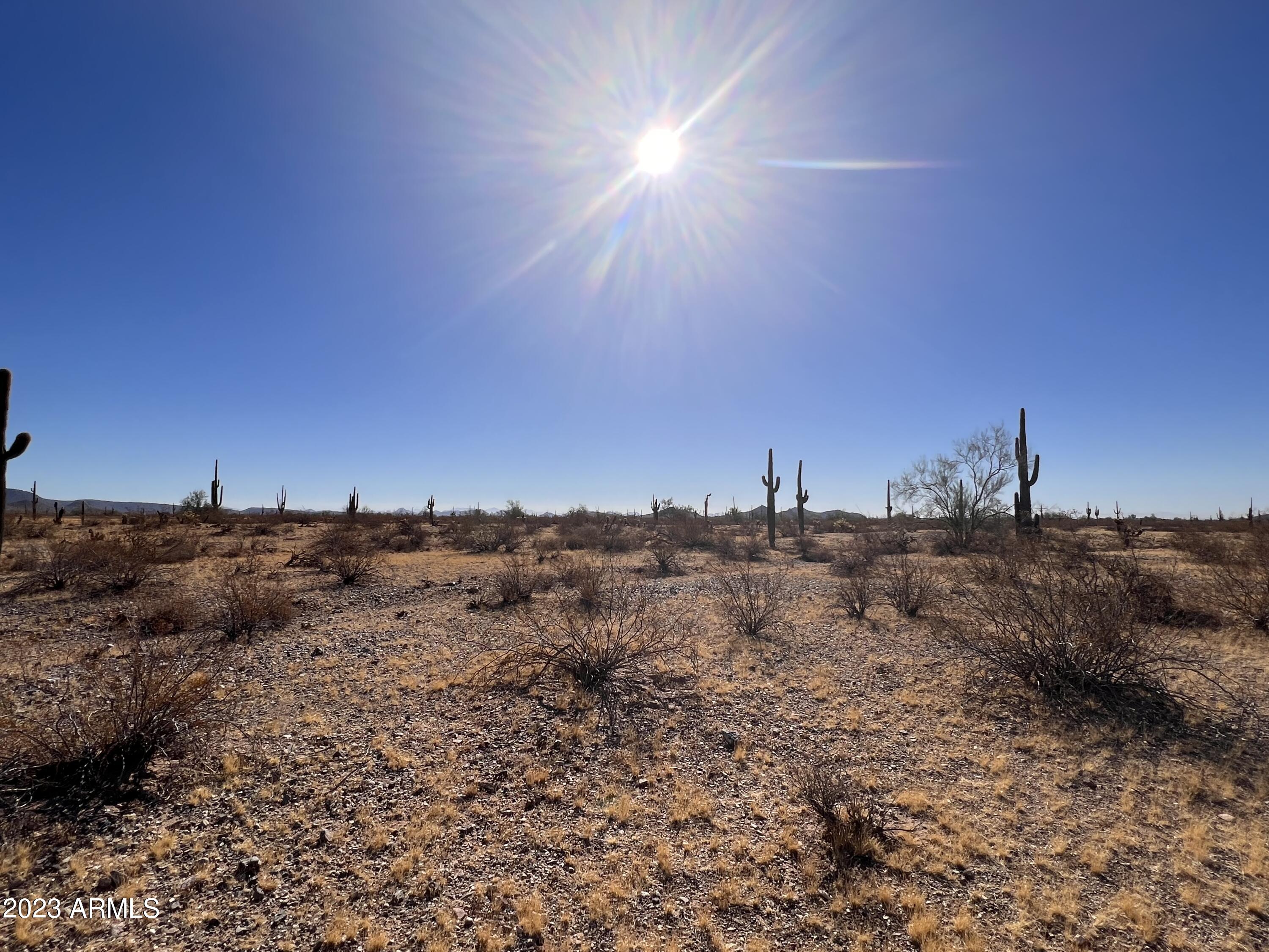 15648 West Montgomery Road, Unit 3 Surprise, AZ 85387 - Photo 5 of 8 a view of a dry yard with trees