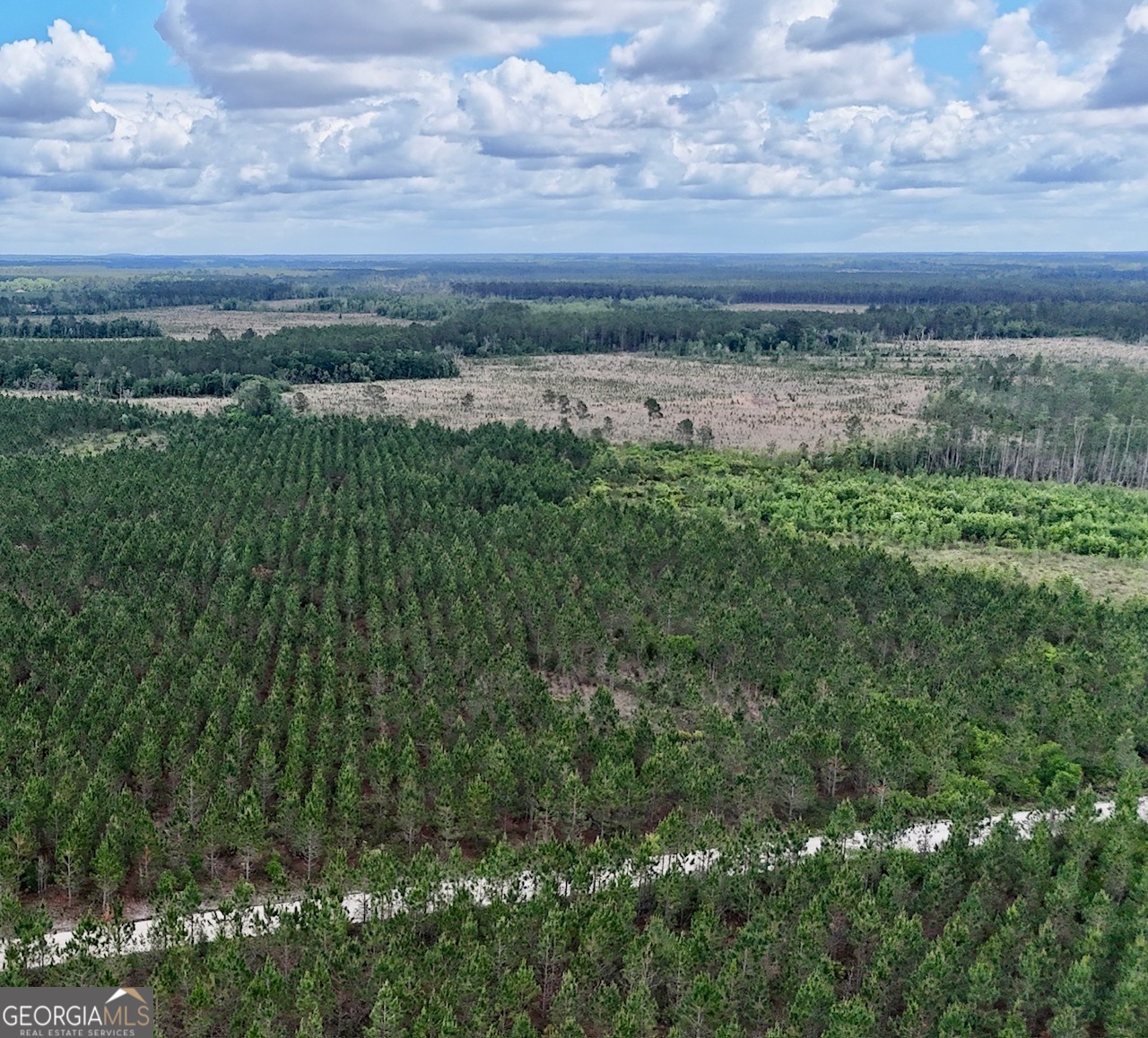 26-ac Owens Road Odum, GA 31555 - Photo 3 of 4
