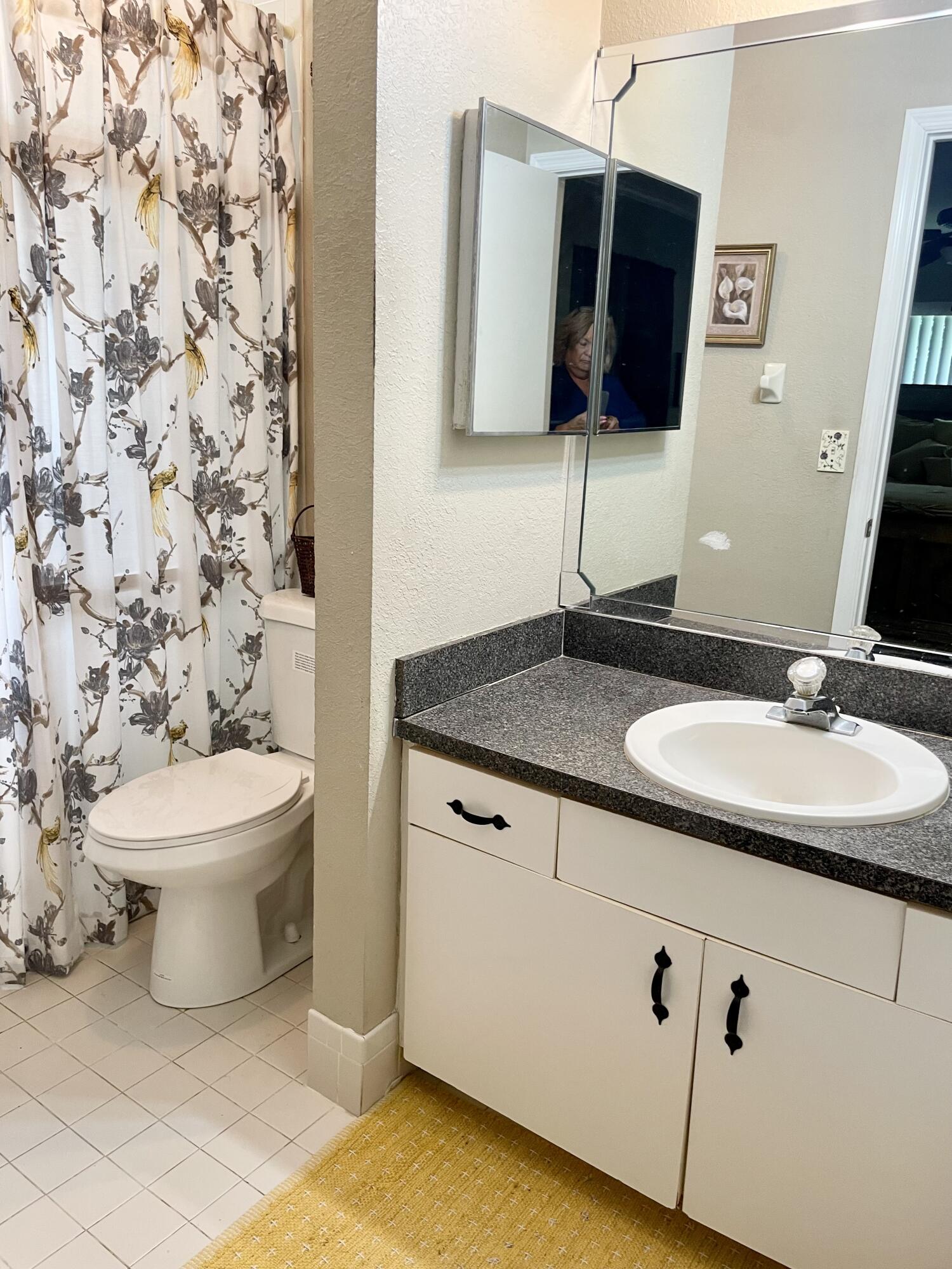 6644 4th Street Jupiter, FL 33458 - Photo 14 of 24 a bathroom with a sink toilet and mirror