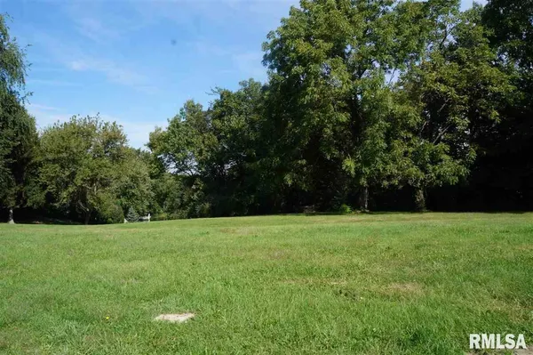 a view of a grassy field with trees in the background