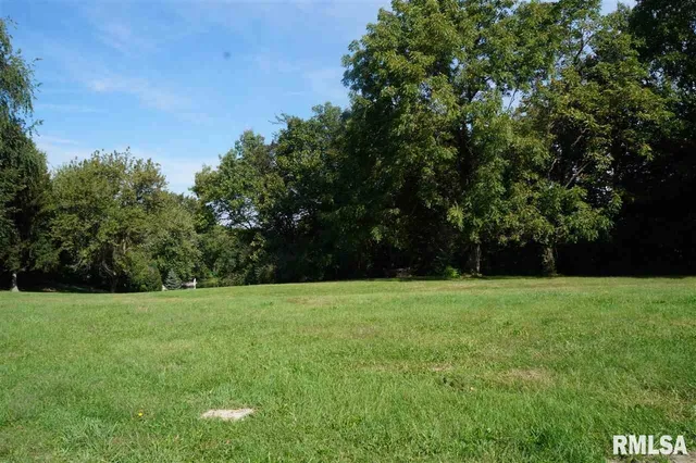 a view of a grassy field with trees in the background
