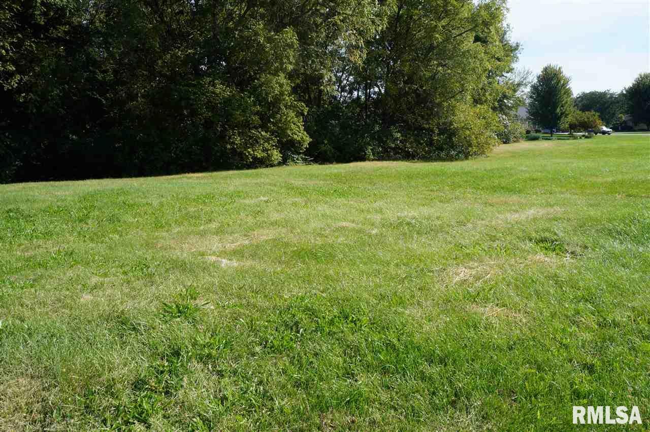 109 North 2nd Avenue Colona, IL 61241 - Photo 2 of 4 a view of green field with trees in the background