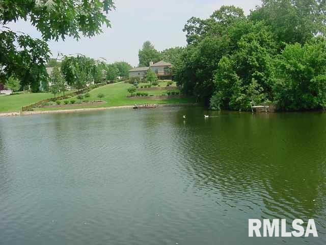 109 North 2nd Avenue Colona, IL 61241 - Photo 4 of 4 a view of a lake with a yard