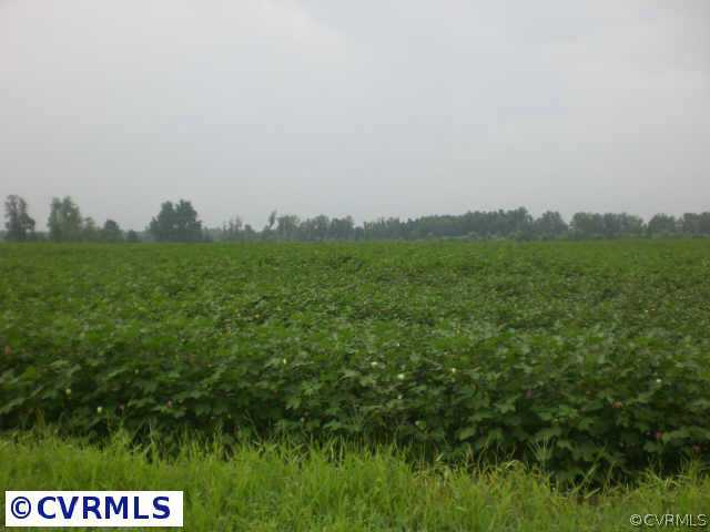 8-lots Unity Road Sedley, VA 23878 - Photo 2 of 3 Other