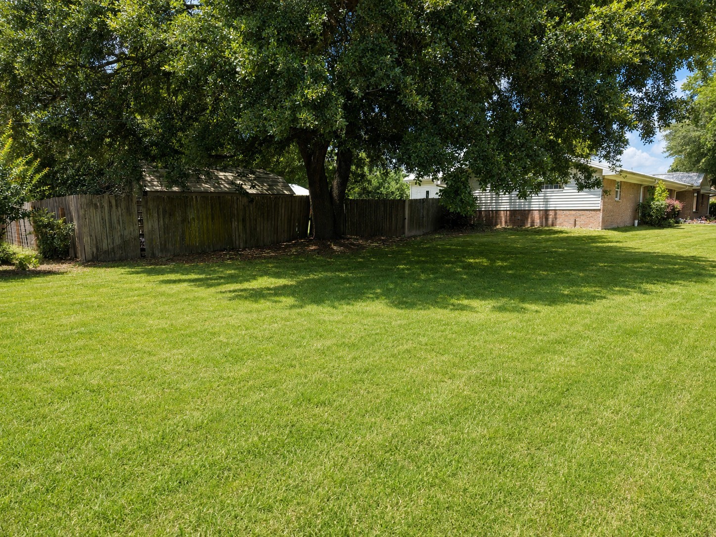 416 Division Street Jewett, TX 75846 - Photo 36 of 38 a view of a backyard with a small cabin