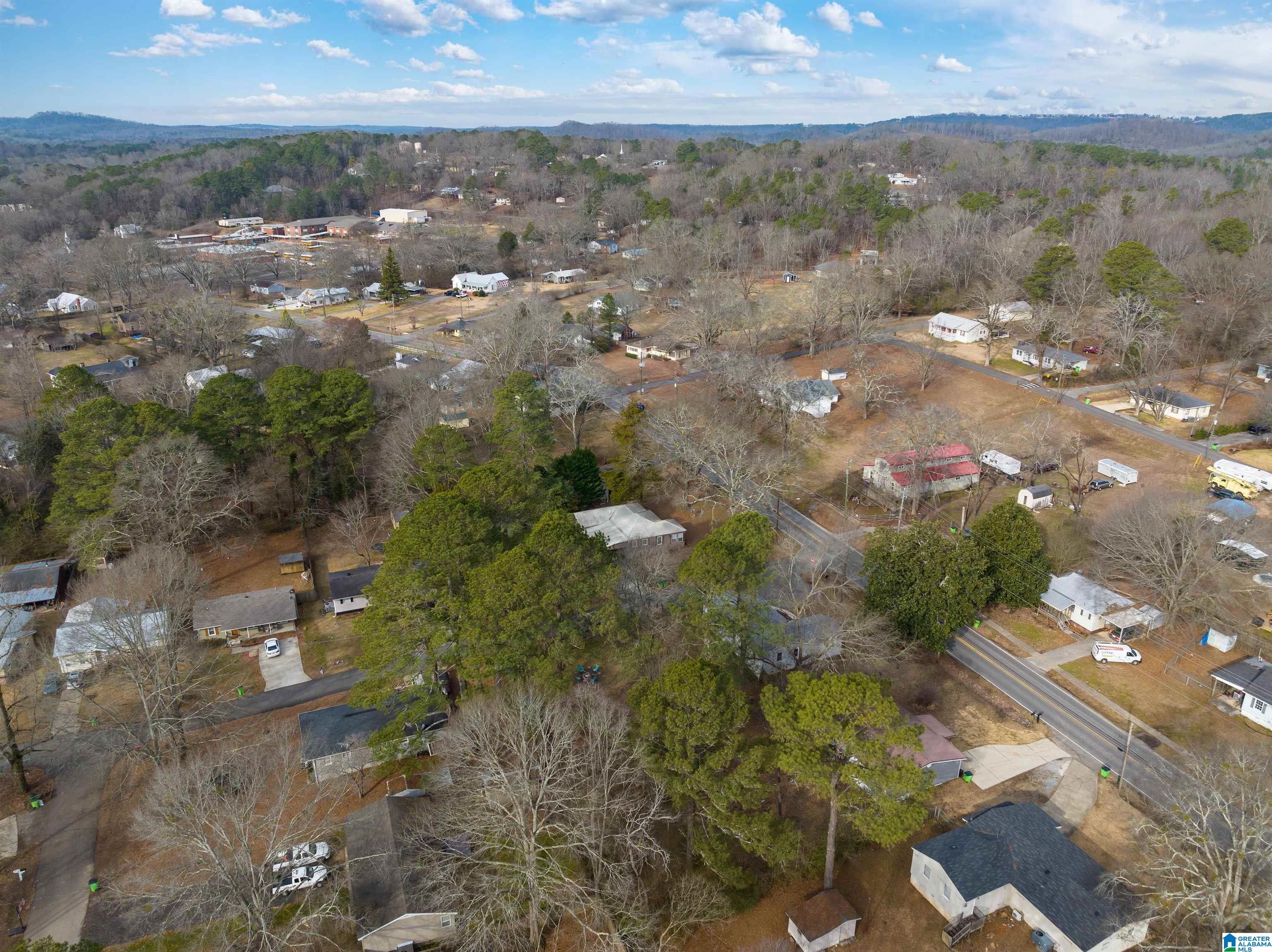 21 Bruce Street Springville, AL 35146 - Photo 33 of 43