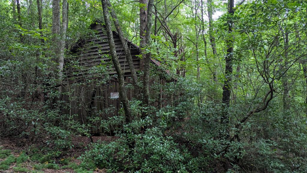 0 Roy Road Ellijay, GA 30536 - Photo 13 of 23 Gallery Image 13