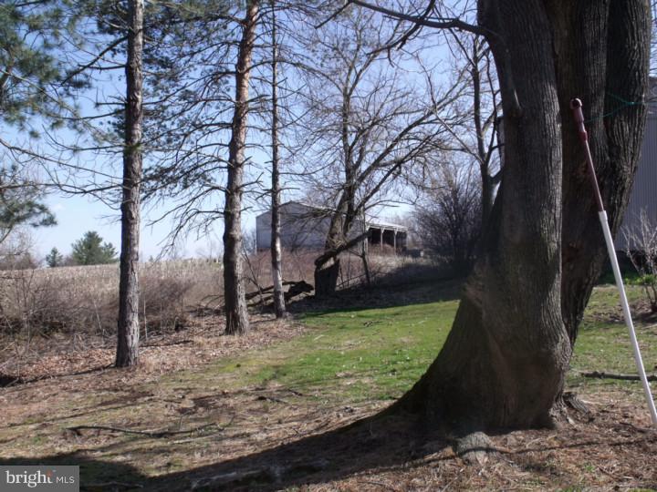 3042 Bedminster Road Perkasie, PA 18944 - Photo 5 of 14 View in Back