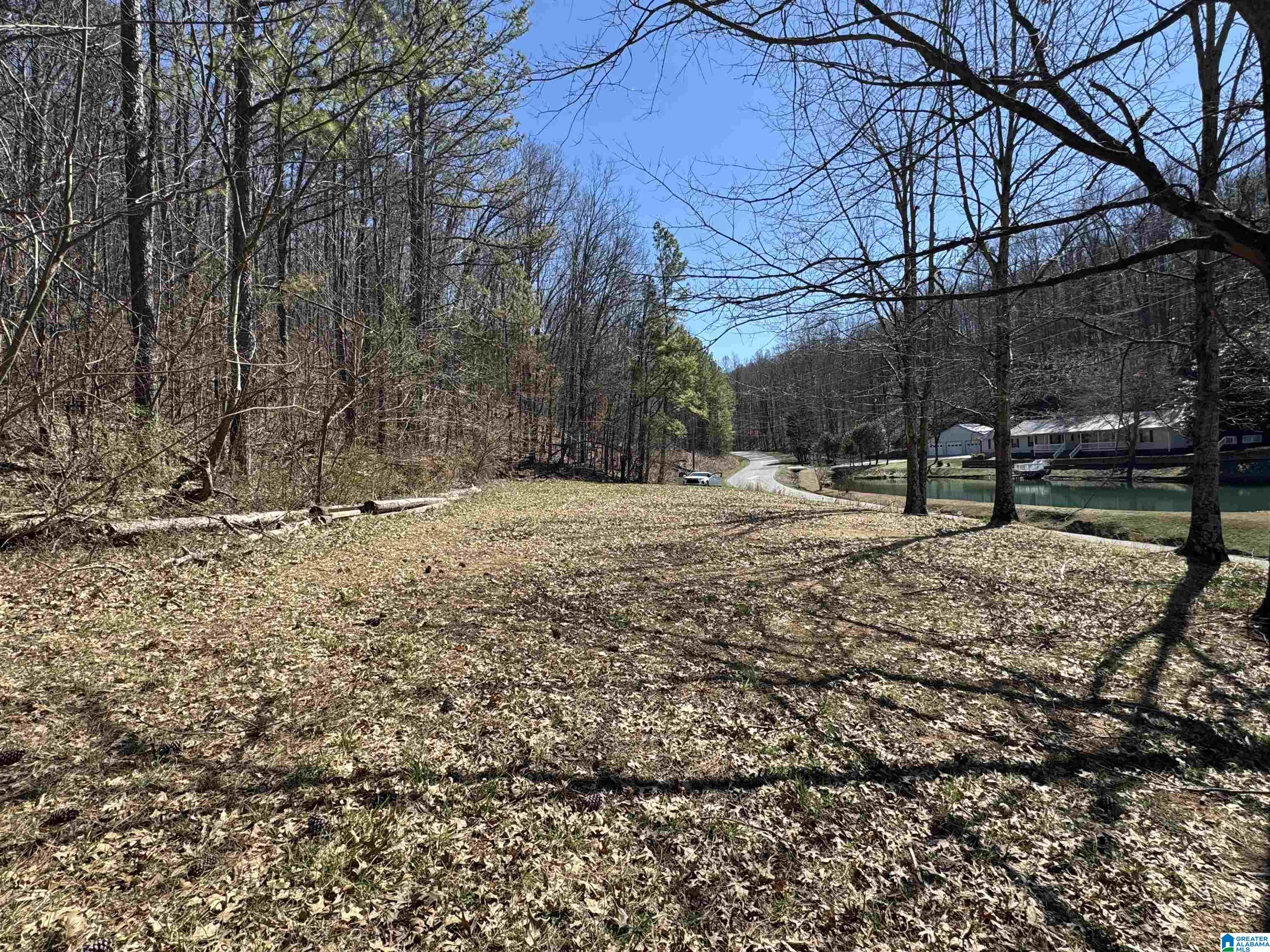 0 Rocky Hollow Road, Unit 3 00 Guntersville, AL 35976 - Photo 18 of 23