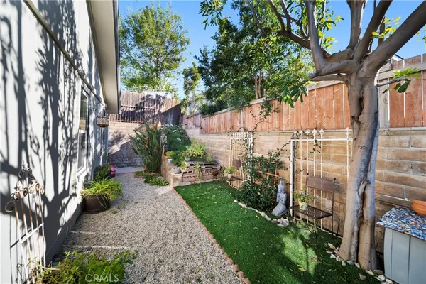 a view of a yard with plants and a large tree