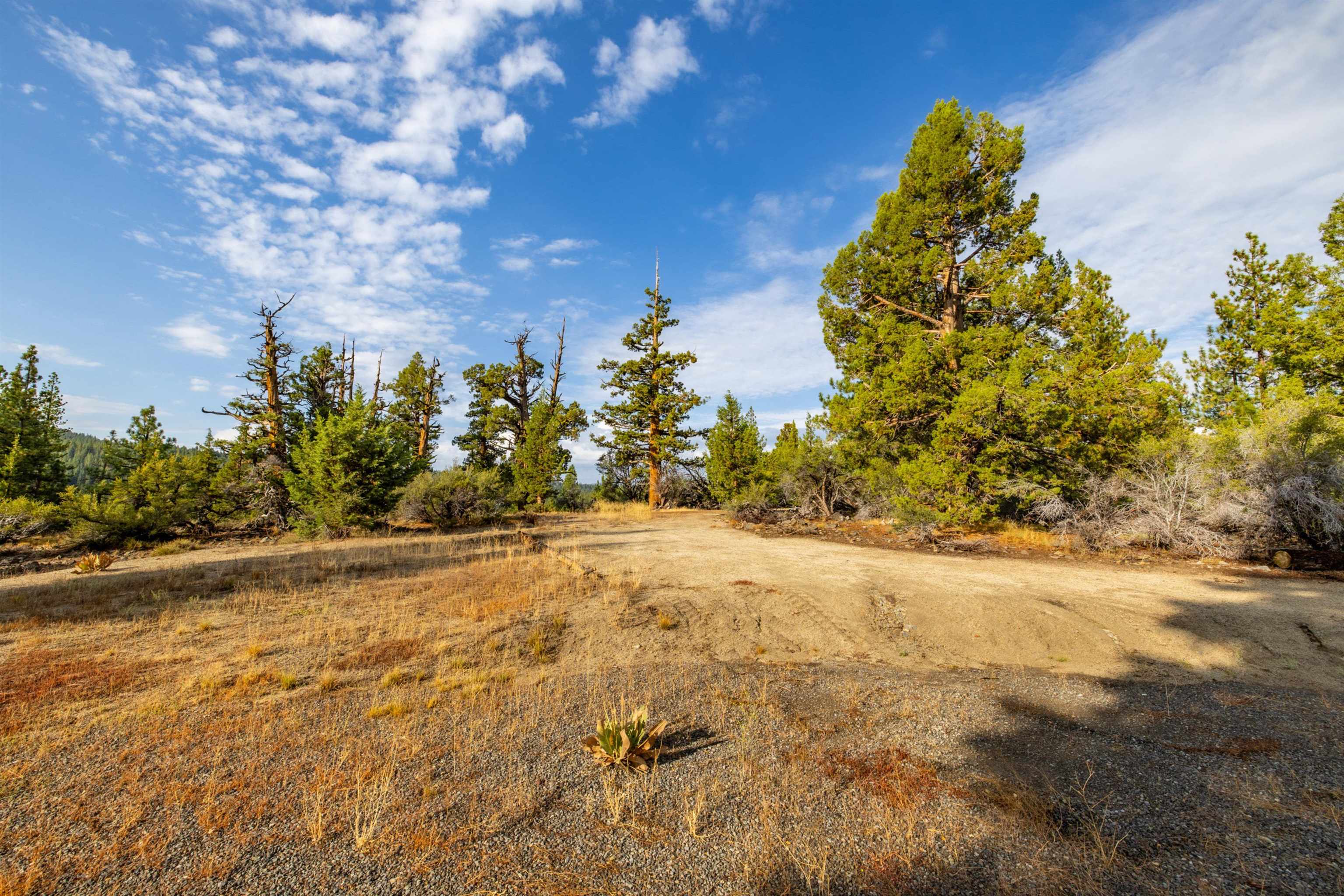 17545 Close Call Ridge Truckee, CA 96161 - Photo 11 of 28