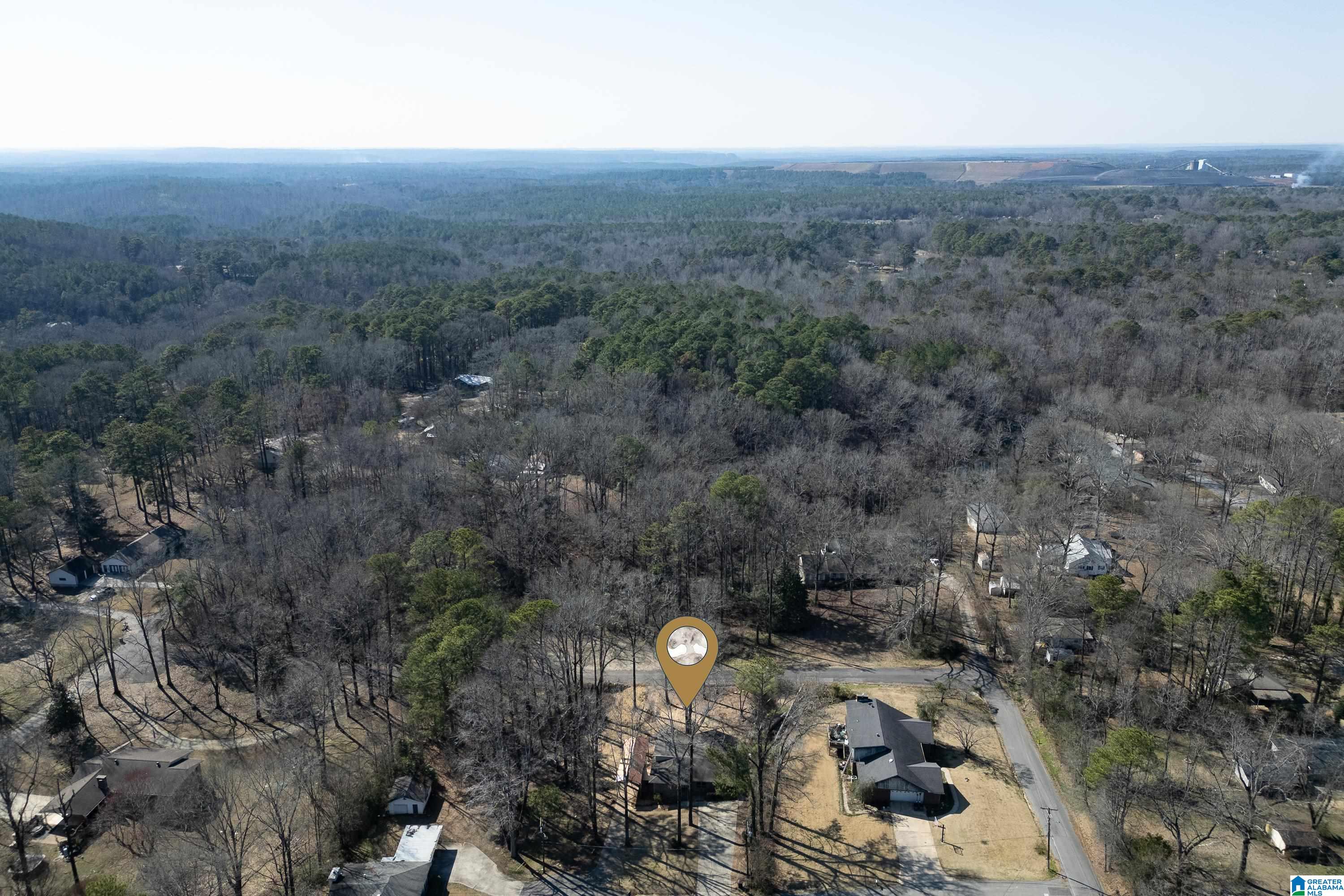 105 Pierson Circle Bessemer, AL 35023 - Photo 34 of 42