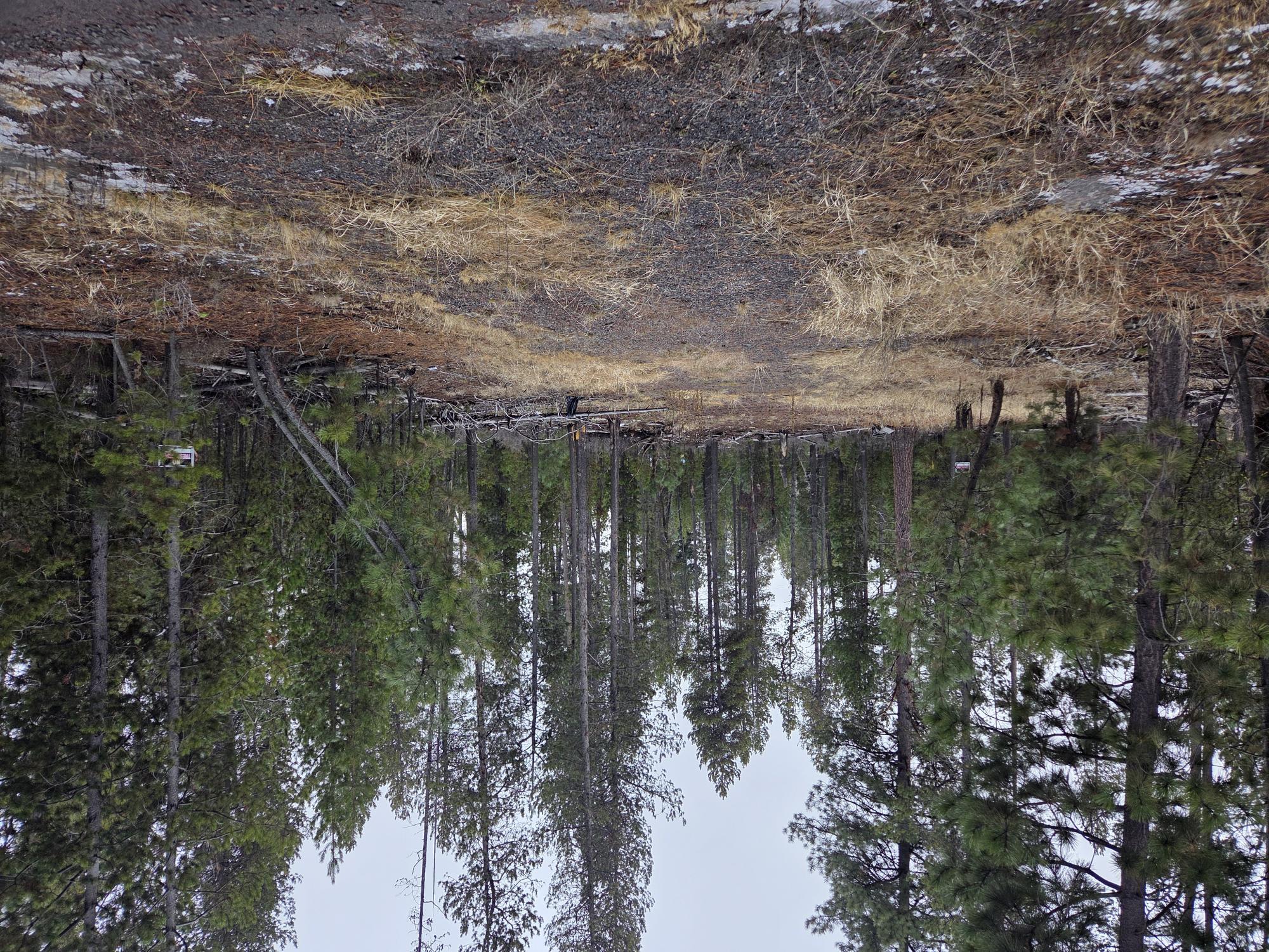 15627 Rim Drive La Pine, OR 97739 - Photo 1 of 9 a view of outdoor space with trees