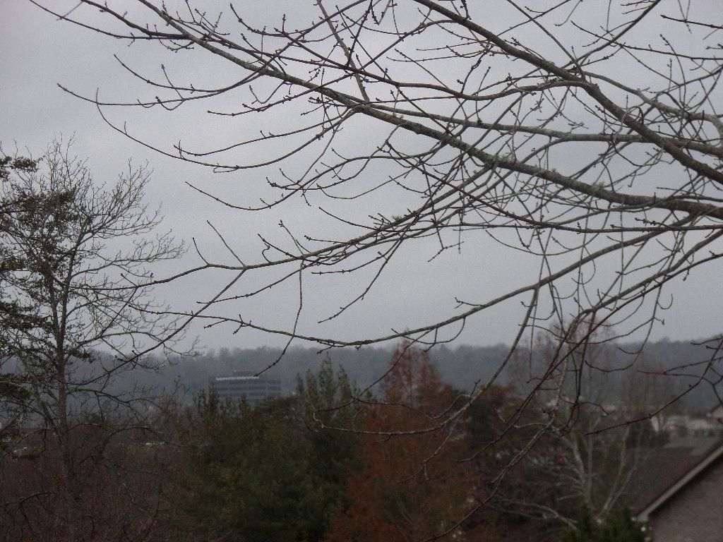 113 Downing Drive Oak Ridge, TN 37830 - Photo 2 of 5 SAM_2816
