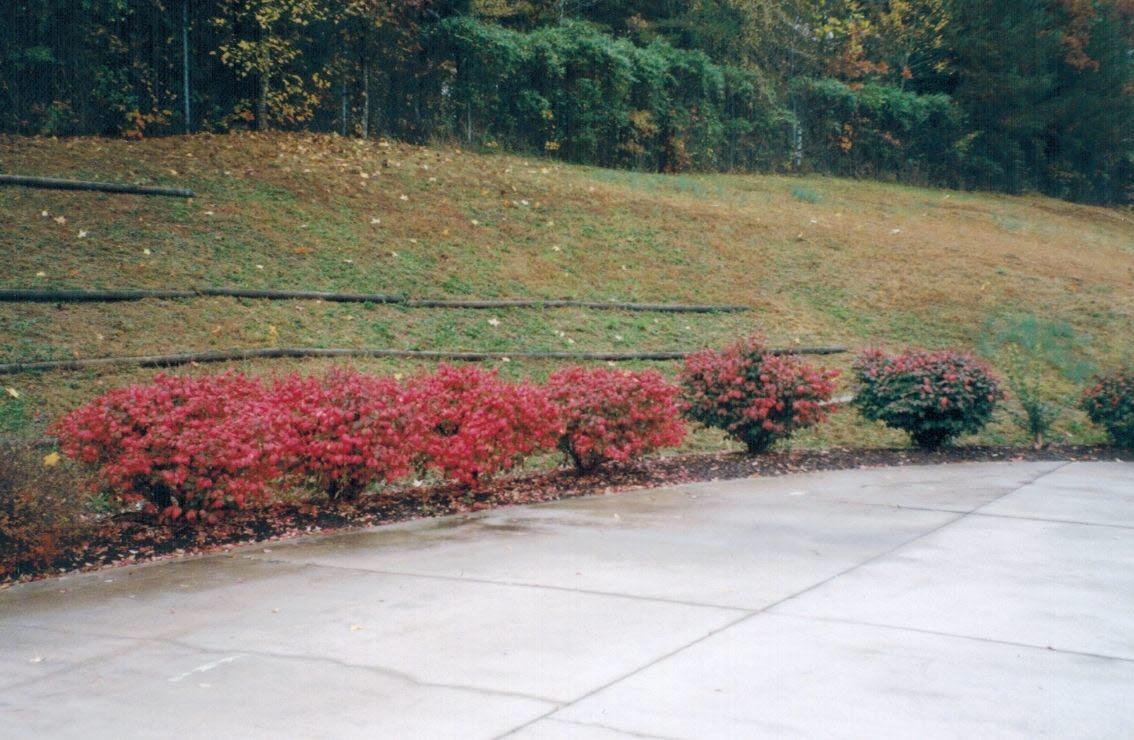 113 Downing Drive Oak Ridge, TN 37830 - Photo 3 of 5 Photograph (1)