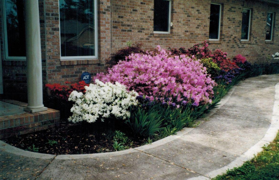 113 Downing Drive Oak Ridge, TN 37830 - Photo 4 of 5 Photograph (2)