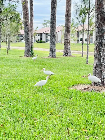 $1,800 | 4725 Lucerne Lakes Boulevard East, Unit 311, Lake Worth, FL 33467