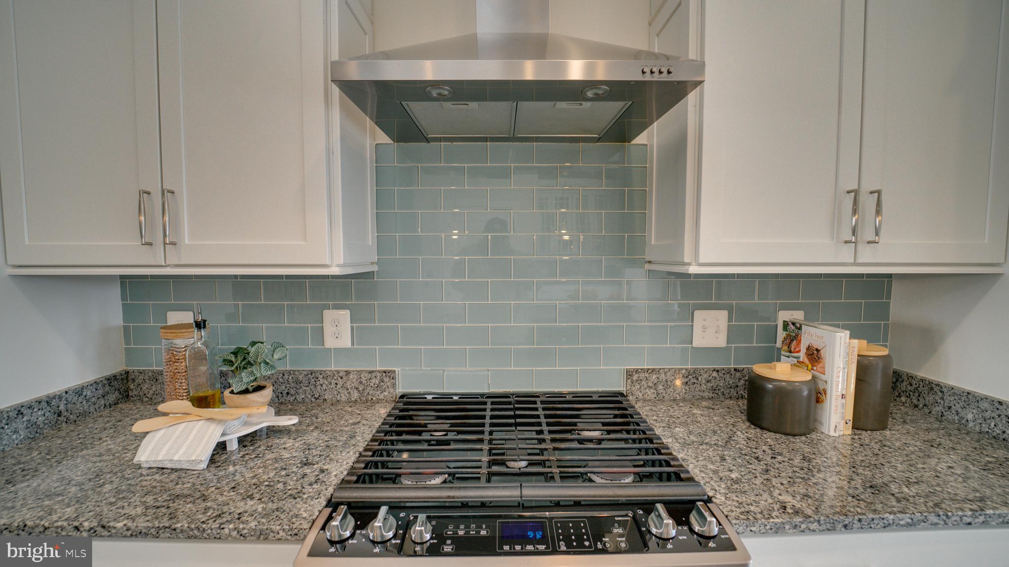 20062 Old Line Terrace Ashburn, VA 20147 - Photo 12 of 79 a kitchen with granite countertop a stove and a white cabinets