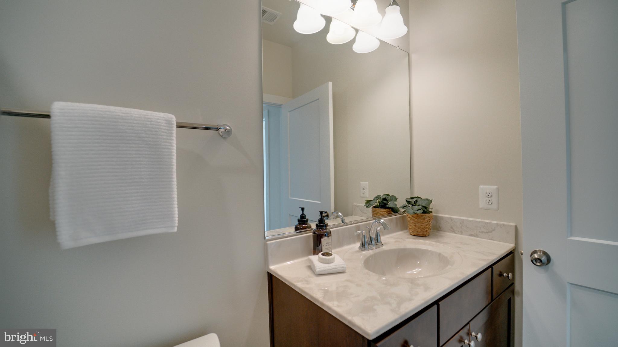 20062 Old Line Terrace Ashburn, VA 20147 - Photo 46 of 79 a bathroom with a sink and a mirror