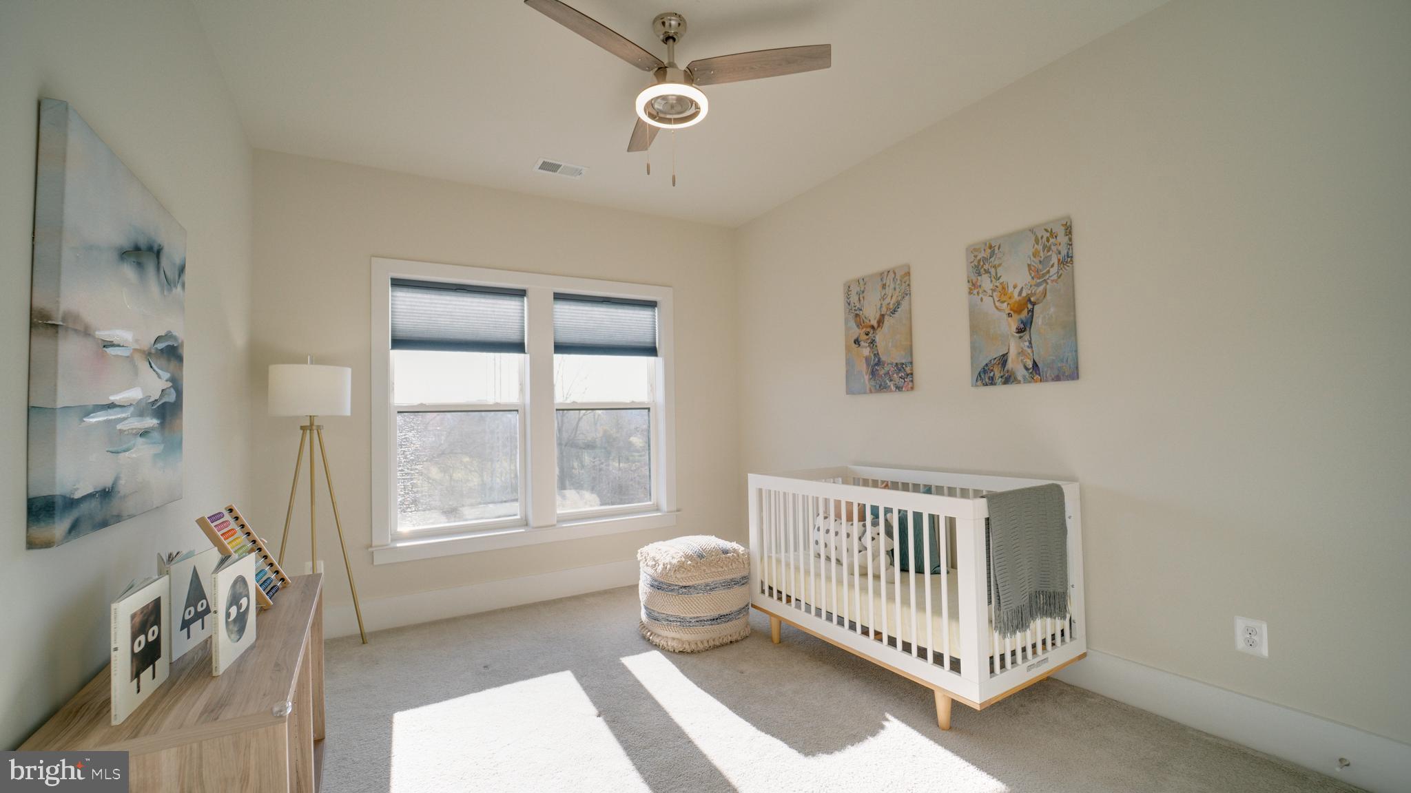 20062 Old Line Terrace Ashburn, VA 20147 - Photo 49 of 79