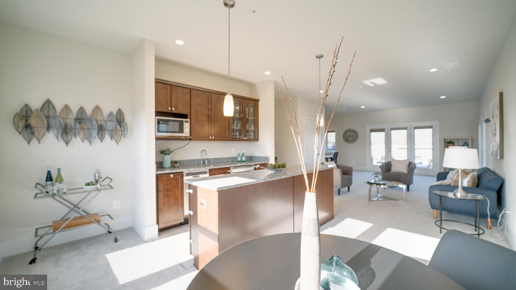 20062 Old Line Terrace Ashburn, VA 20147 - Photo 58 of 79 Wet Bar