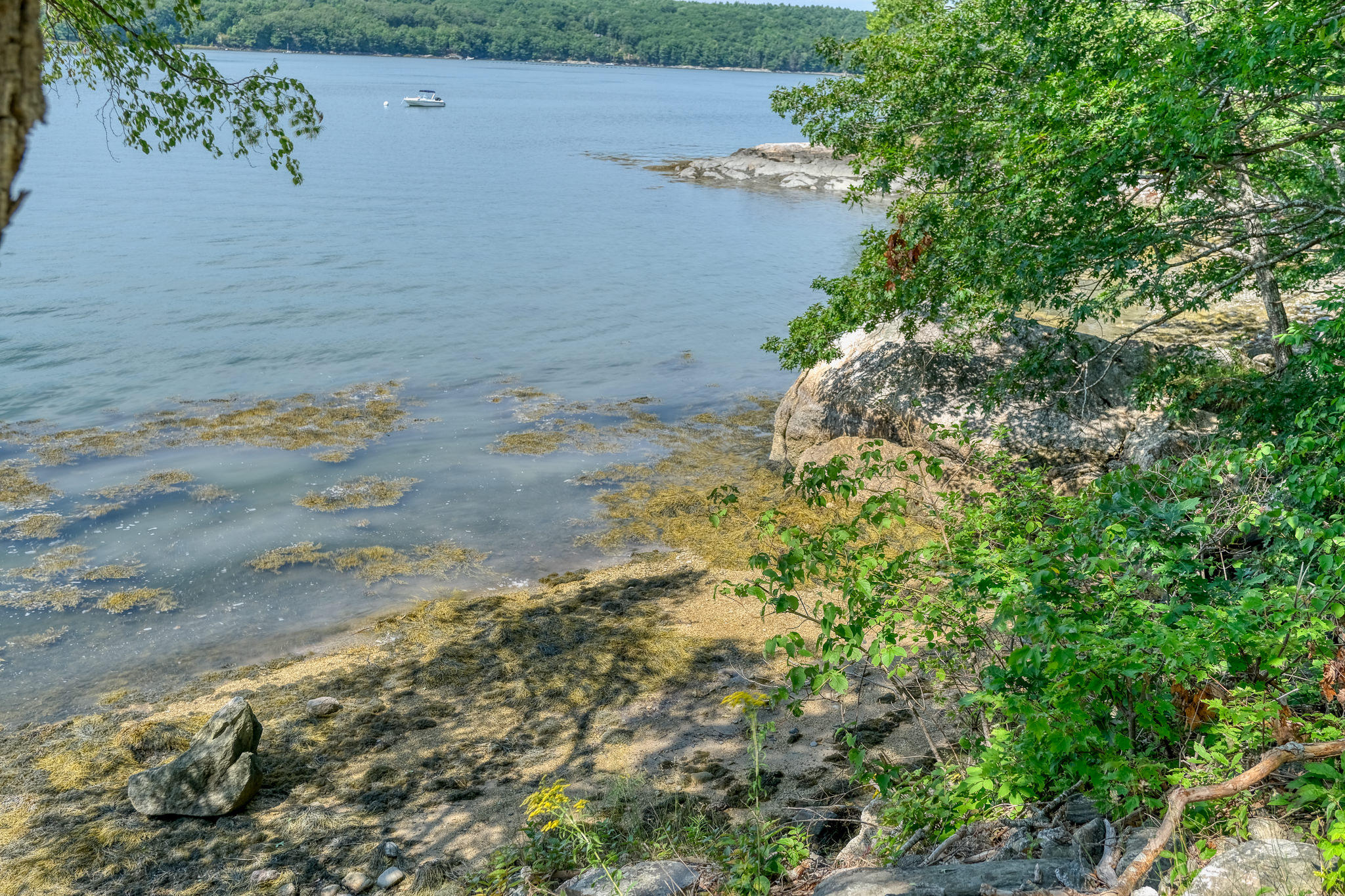 359 Highway 129 Walpole, ME 04573 - Photo 43 of 52 20190822_359_Rt.129_9376
