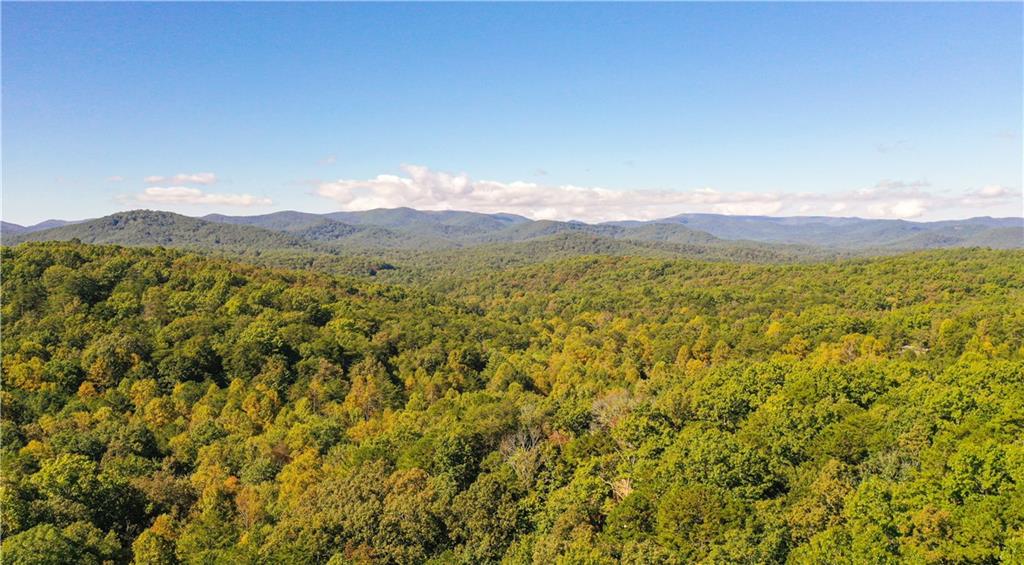 1605 Sun Rock Mountain Road Blue Ridge, GA 30513 - Photo 74 of 78 Gallery Image 74