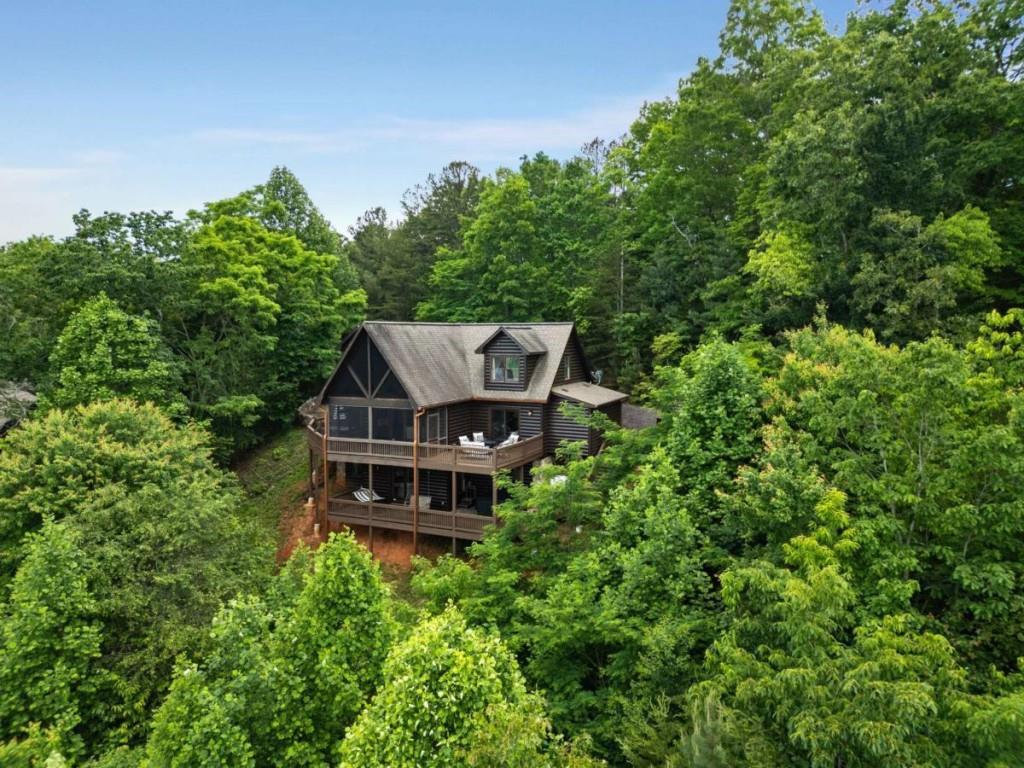 231 Sunrock Mountain Trail Blue Ridge, GA 30513 - Photo 58 of 61